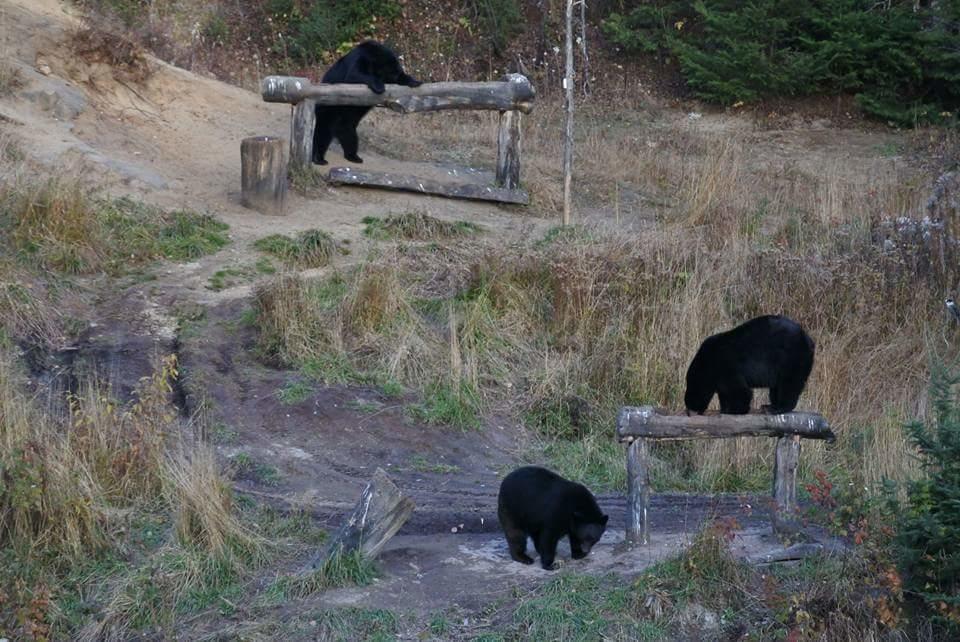 Gite Au Vieux Pommier Tadoussac Luaran gambar