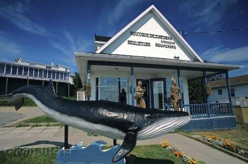 Gite Au Vieux Pommier Tadoussac Luaran gambar