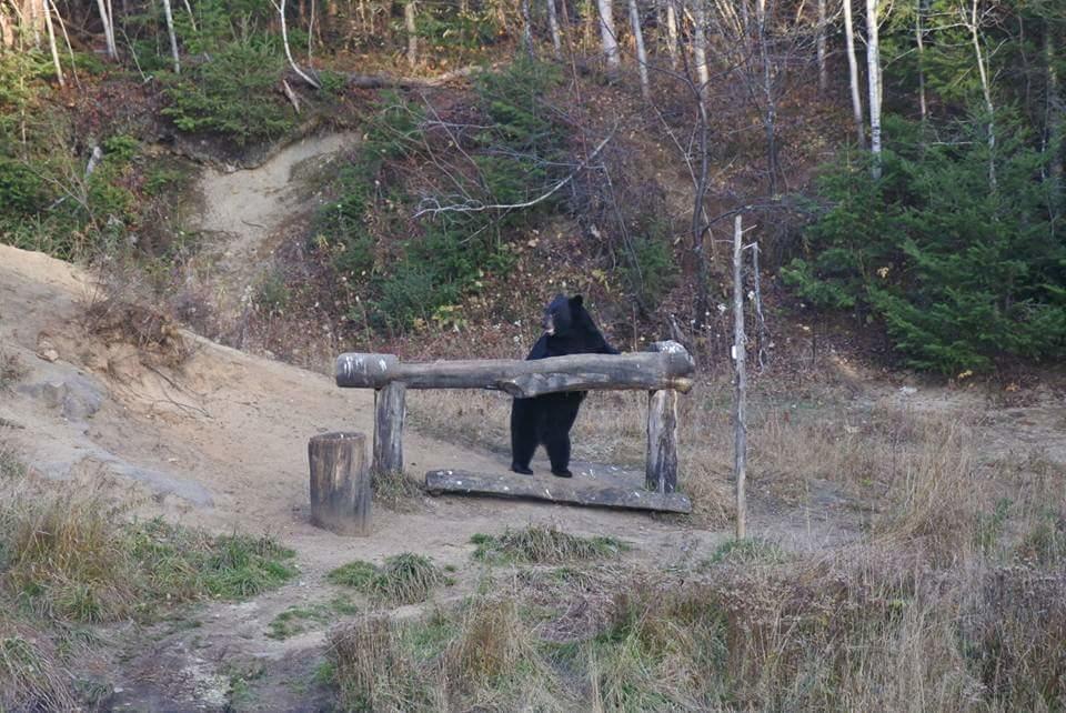 Gite Au Vieux Pommier Tadoussac Luaran gambar