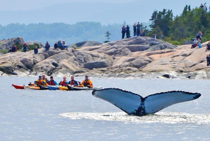 Gite Au Vieux Pommier Tadoussac Luaran gambar